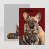 Französische Bulldoggen Einladung (Vorne/Hinten)