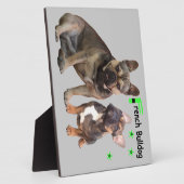 Französische Bulldoggen Fotoplatte (Seite)