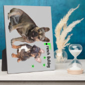 Französische Bulldoggen Fotoplatte (Seite)