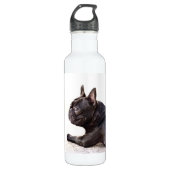 Französische Bulldoggen-Freiheit Trinkflasche (Vorderseite)
