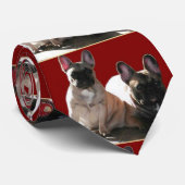 Französische Bulldoggen Freunde Krawatte (Gerollt)