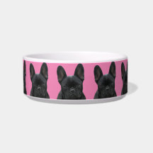 Französische Bulldoggen Friends French Bulldog