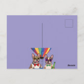 Französische Bulldoggen Frohes Neues Jahr Postkarte (Rückseite)