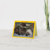 Französische Bulldoggen Grußkarte Ostern Karte (Vorderseite)