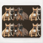 Französische Bulldoggen Hunderudel French Bulldog Mousepad (Vorne)