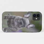 Französische Bulldoggen IPhone 11  Pad Hülle  (Rückseite (Horizontal))
