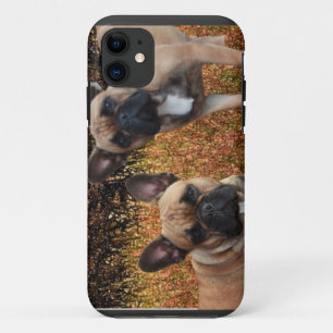 Französische Bulldoggen IPhone 5 Case Made
