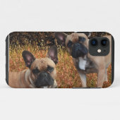 Französische Bulldoggen IPhone 5 Case Made (Rückseite (Horizontal))