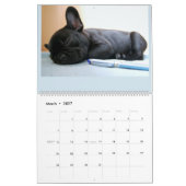 Französische Bulldoggen-Kalender Kalender (Mär 2027)