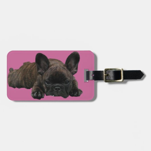 Französische Bulldoggen Kofferanhänger (Vorderseite horizontal)