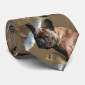 Französische Bulldoggen Krawatte (Gerollt)