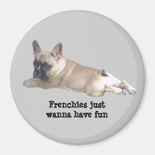 Französische Bulldoggen-Magnet Magnet