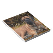 Französische Bulldoggen Mastiff Notizblock (angewinkelt)