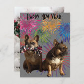 Französische Bulldoggen Neujahr Einladung (Vorne/Hinten)