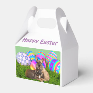 Französische Bulldoggen Ostern French Bulldog Geschenkschachtel