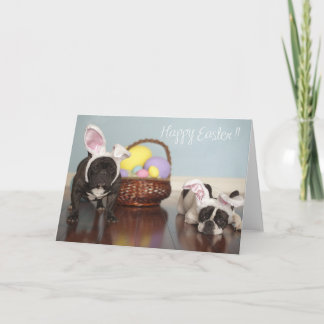 Französische Bulldoggen-Ostern-Karte! Feiertagskarte