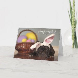 Französische Bulldoggen-Ostern-Karte! Feiertagskarte