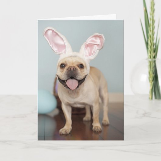 Französische Bulldoggen-Ostern-Karte! Feiertagskarte (Vorderseite)