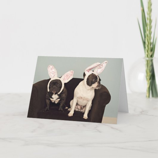 Französische Bulldoggen-Ostern-Karte! Feiertagskarte (Vorderseite)