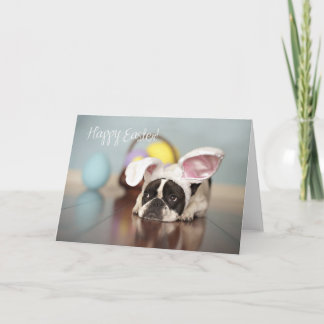 Französische Bulldoggen-Ostern-Karte! Feiertagskarte