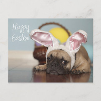 Französische Bulldoggen-Ostern-Karte! Feiertagspostkarte
