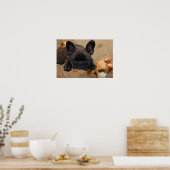 Französische Bulldoggen Poster (Küche)