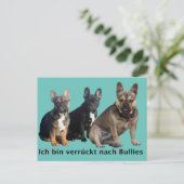 Französische Bulldoggen Postkarte (Stehend Vorderseite)
