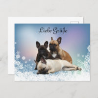 Französische Bulldoggen Postkarte