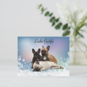 Französische Bulldoggen Postkarte (Stehend Vorderseite)