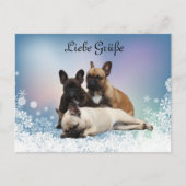 Französische Bulldoggen Postkarte (Vorderseite)