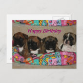 Französische Bulldoggen Postkarte (Vorne/Hinten)