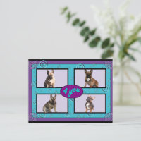 Französische Bulldoggen Postkarte "4 you"