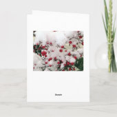 Französische Bulldoggen Postkarte Happy New Year (Rückseite)