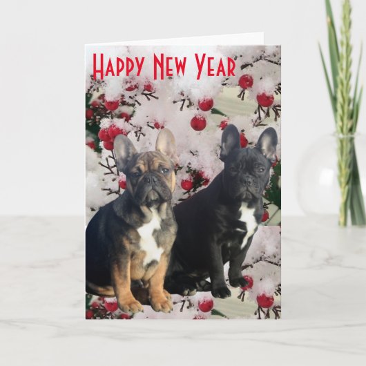 Französische Bulldoggen Postkarte Happy New Year (Vorderseite)