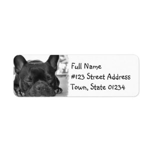 Französische Bulldoggen-Postsendung-Aufkleber