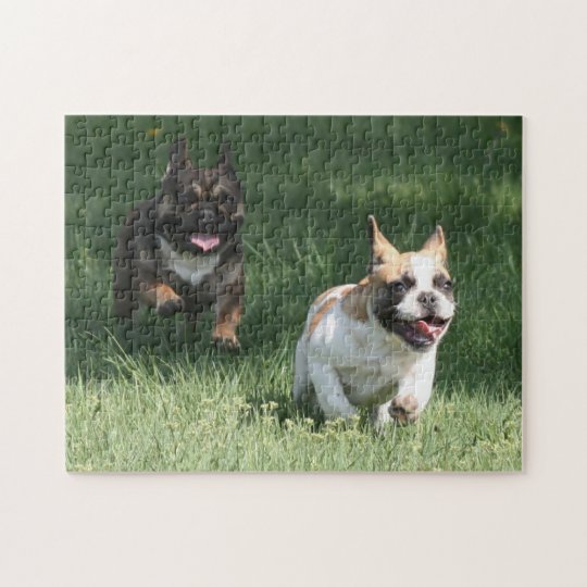 Französische Bulldoggen Puzzle