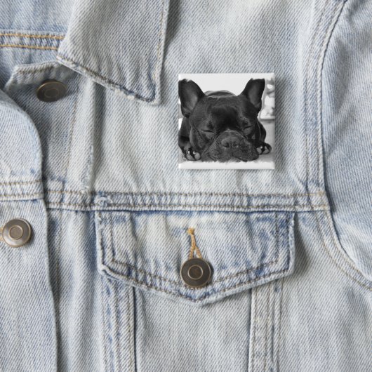 Französische Bulldoggen-Quadrat-Button Button (Beispiel)