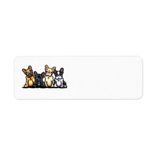 Französische Bulldoggen-Quartett