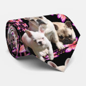 Französische Bulldoggen Schmetterling Bulldog Krawatte (Gerollt)