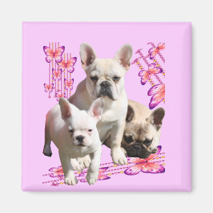 Französische Bulldoggen Schmetterling  Bulldog Magnet