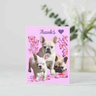 Französische Bulldoggen Schmetterling  Bulldog Postkarte