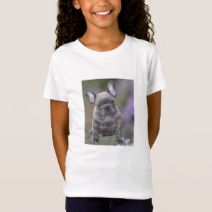 Französische Bulldoggen Shirt