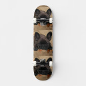 Französische Bulldoggen Skateboard (Vorderseite)
