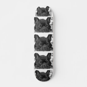 Französische Bulldoggen-Skateboard Skateboard