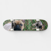 Französische Bulldoggen-Skateboard Skateboard (Horizontal)