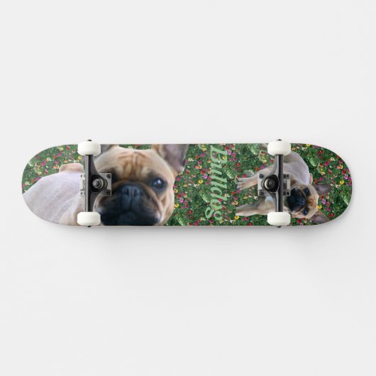 Französische Bulldoggen-Skateboard Skateboard (Horizontal)