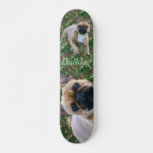Französische Bulldoggen-Skateboard Skateboard