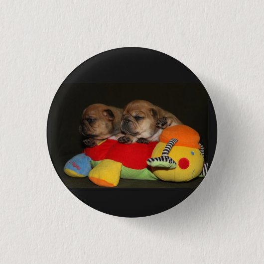 Französische Bulldoggen süße Welpen Christmas Button (Vorderseite)