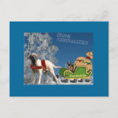 Französische Bulldoggen und Mastiff Postkarte (Vorderseite)