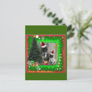 Französische Bulldoggen Weihnachten Feier Postkarte